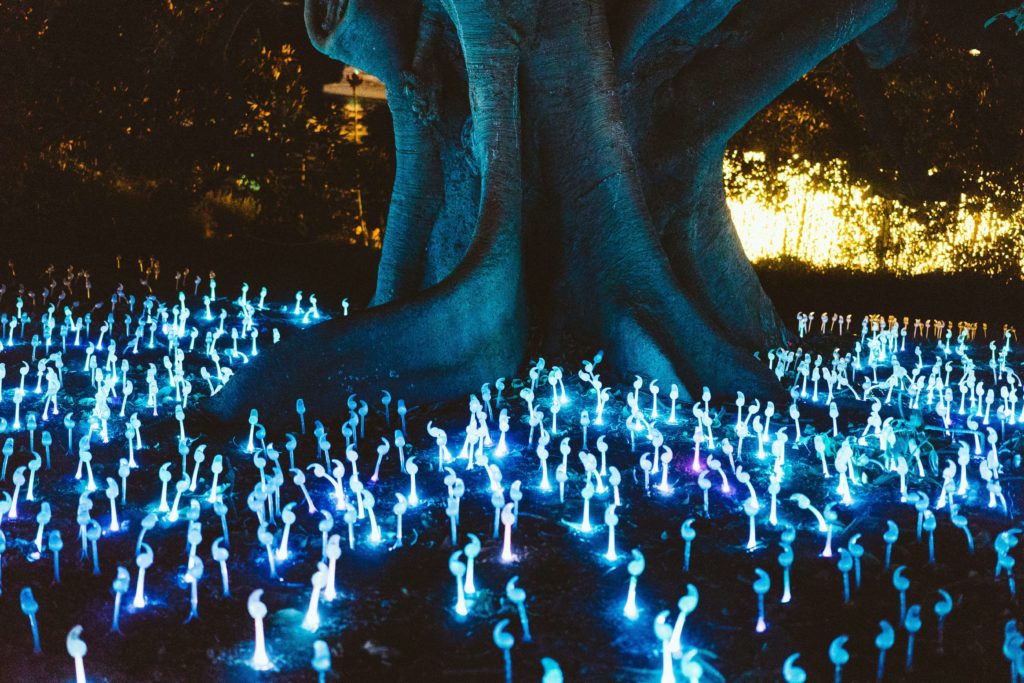 Fantasiewelt